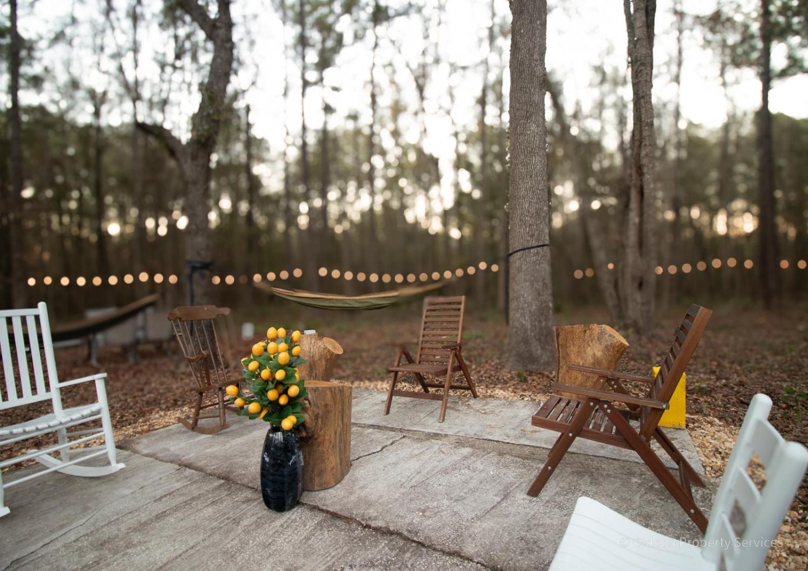 3/2 Uf Wooded Paradise Retreat Gainesville Kültér fotó