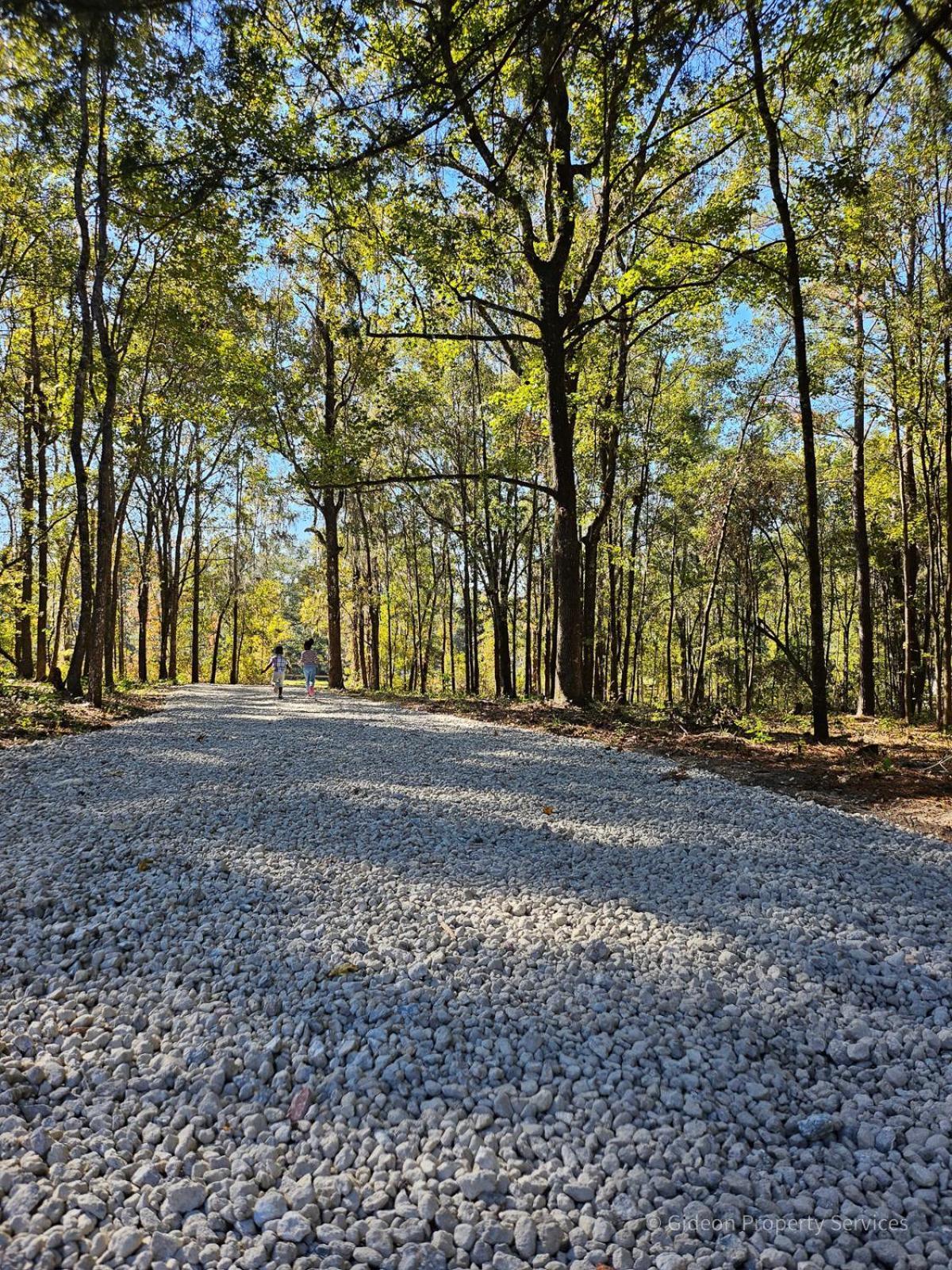 3/2 Uf Wooded Paradise Retreat Gainesville Kültér fotó